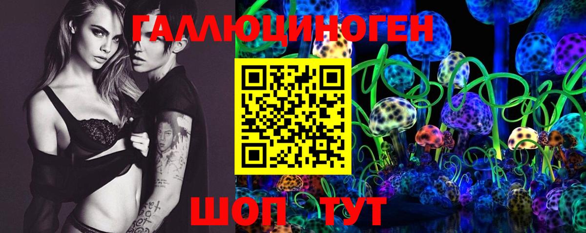 Псилоцибиновые грибы Cubensis Дмитров