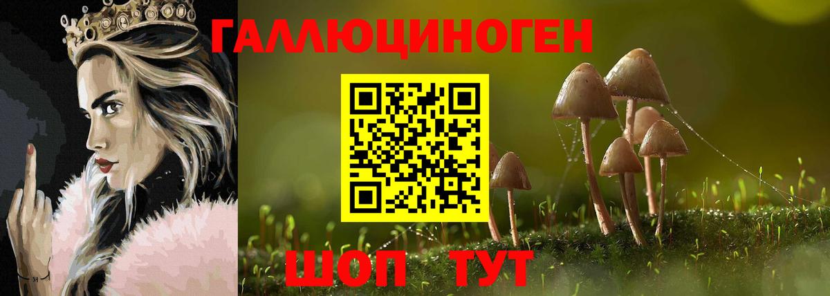 Дмитров  Псилоцибиновые грибы Psilocybe  купить наркотики сайты  Вход с VPN 